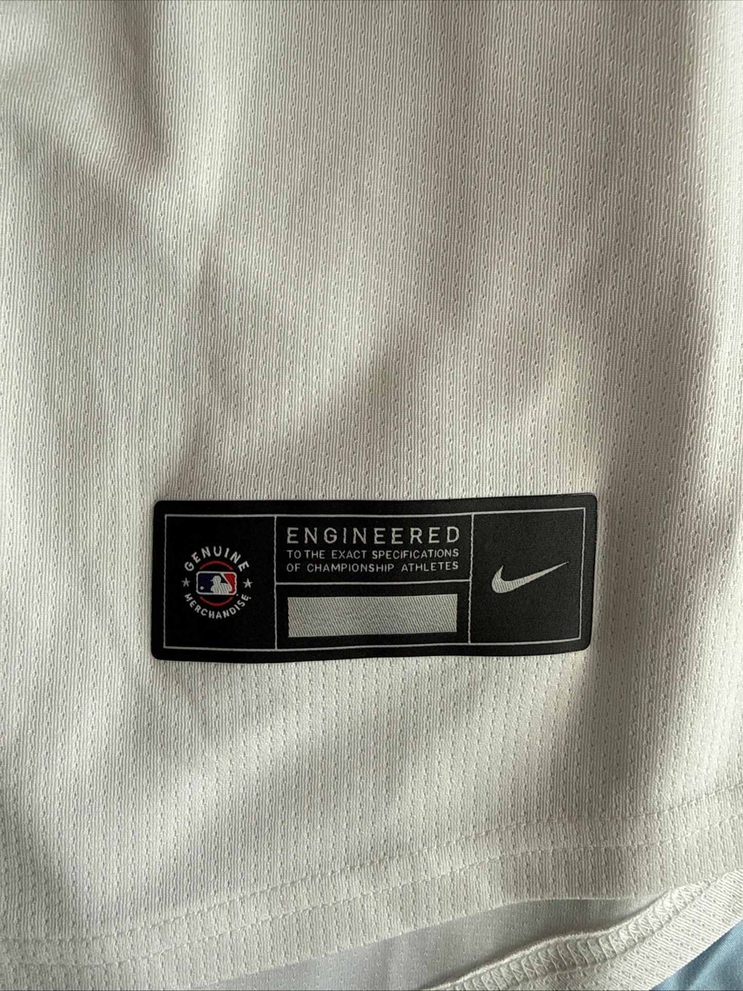 Men’s Nike Anthony Santander 25 Baltimore Orioles MLB Baseball Jersey Sz S NWT - Kyle’s Football Cards
