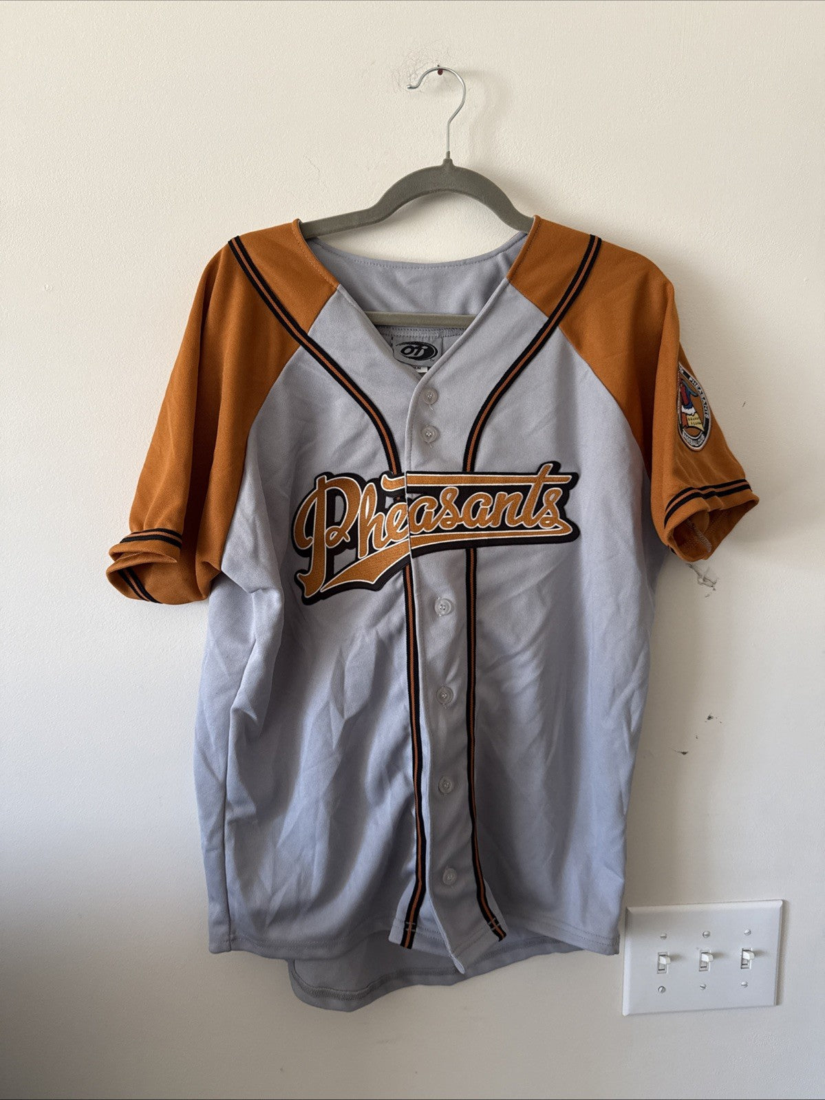 MEN’S OT SPORTS SIOUX FALLS FIGHTING PHEASANTS BASEBALL JERSEY MiLB SZ M - RARE